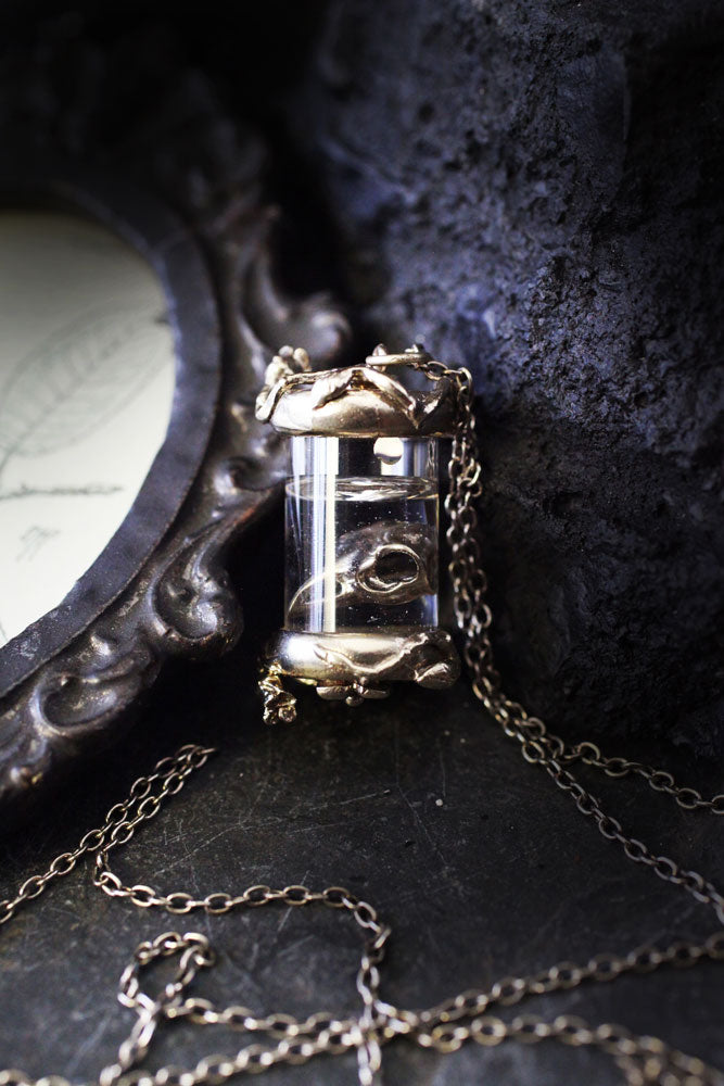 Crow Skull in Glass Jar Necklace - Clavius Jewelry